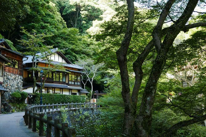 Minoh Waterfall and Nature Walk Through the Minoh Park - Guided Tour Details