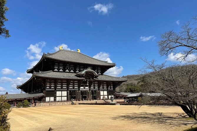 Kyoto and Nara Park Day Tour From Osaka/Kyoto. - Cancellation Policy