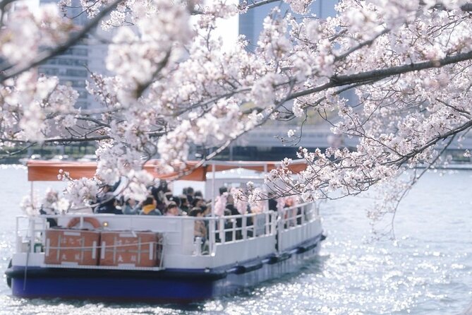 Osaka Cherry Blossom Tour With a Local: 100% Personalized Private - Reviews