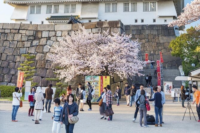 Osaka Cherry Blossom Tour With a Local: 100% Personalized Private - Cancellation Policy