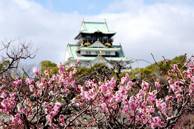 Osaka Cherry Blossom Tour With a Local: 100% Personalized Private - Highlights