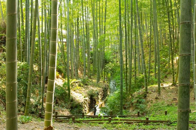 Kyoto : Immersive Arashiyama and Fushimi Inari by Private Vehicle - Last Words