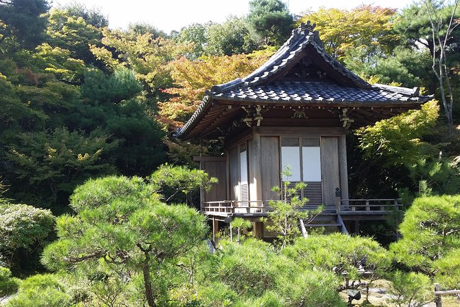 Kyoto : Immersive Arashiyama and Fushimi Inari by Private Vehicle - Customer Reviews and Testimonials