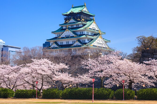 Osaka and Kansai Private Customized Day Tour - Traveler Experiences