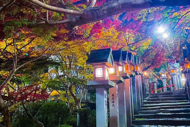 Hidden Gems of Osaka Kyoto Nara - Private Car Tour by Local Guide - Local Guide Insights