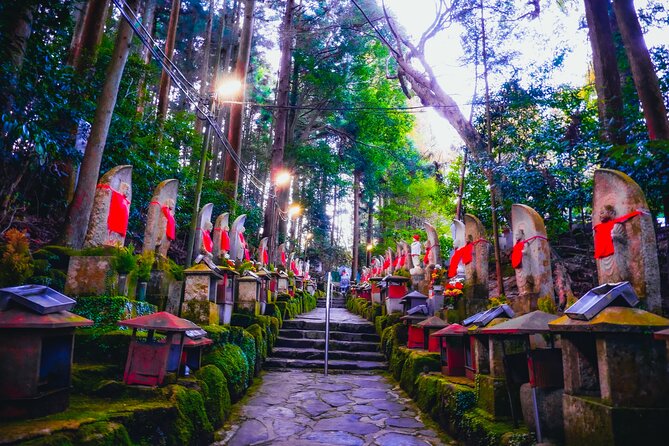 Hidden Gems of Osaka Kyoto Nara - Private Car Tour by Local Guide - Cultural Experiences