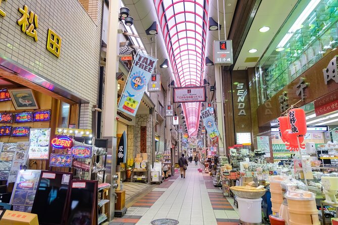 Private Half-Day Tour in Osaka by Taxi and Rickshaw - Conclusion