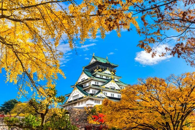 Osaka Private Customize Tour - Pricing and Reservation Details