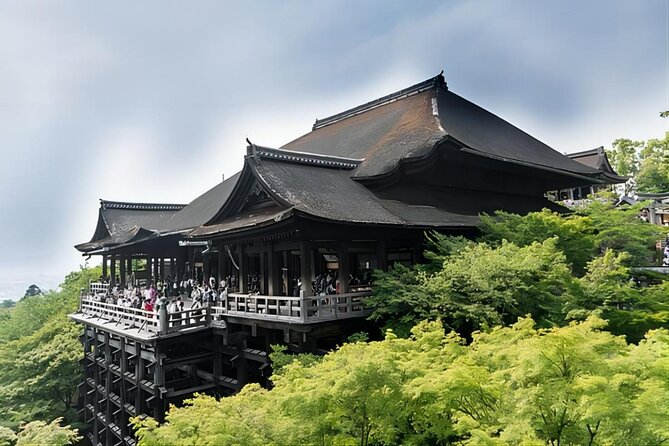 From Osaka: 10-hour Private Custom Tour to Kyoto - Pricing Details