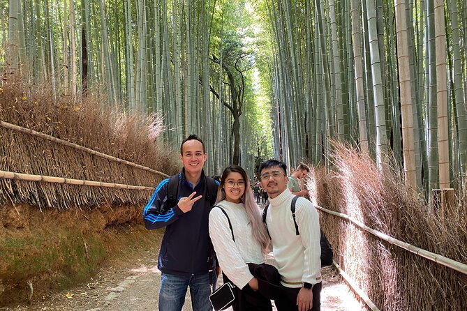 Private Kyoto Day Tour From Osaka - Conclusion