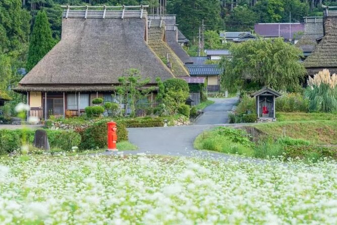 Kyoto Suburb Day Tour From Osaka - Feedback