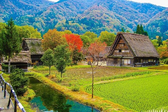 Shirakawago and Takayama 2 Days Tour From Osaka or Kyoto - Operator Details