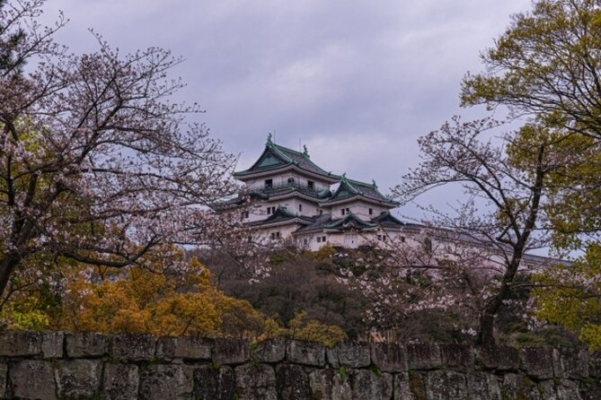 Wakayama Castle and Kuroshio Market 1 Day Tour - Start Time and End Point