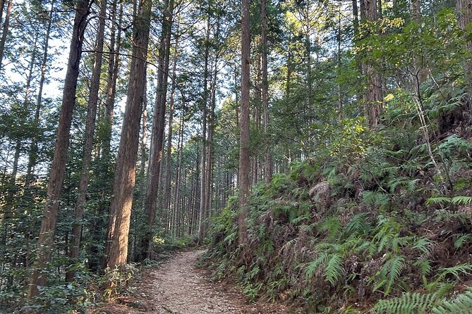 3 Day Kumano Kodo Pilgrimage Route Walking Tour From Osaka - Key Takeaways