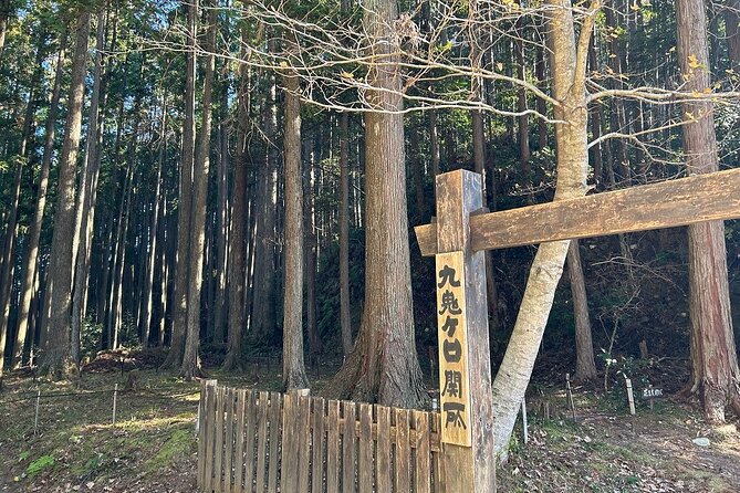 3 Day Kumano Kodo Pilgrimage Route Walking Tour From Osaka - What To Expect