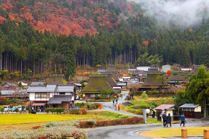 Osaka Private Charter Tour Miyama & Amanohashidate & Uji Routes - Included Amenities