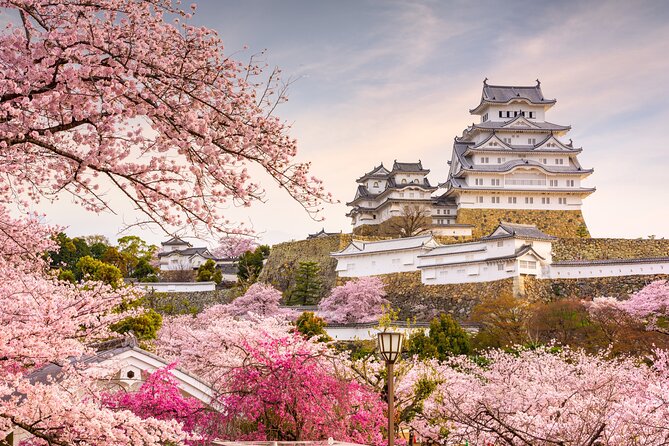 Osaka/Himeji Castle Shoshayama Temple &Arima Private Charter Car - Key Takeaways