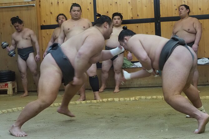 Sumo Morning Training Watch in Osaka - Key Takeaways