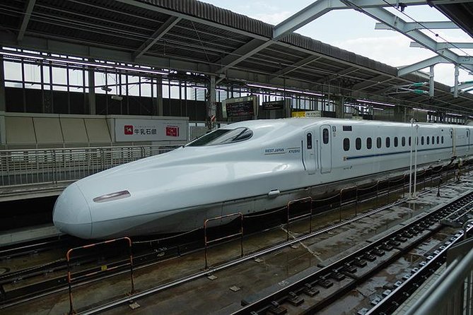 Japan Railway Station Shared Arrival Transfer : Shin Osaka Station to Osaka City - Conclusion