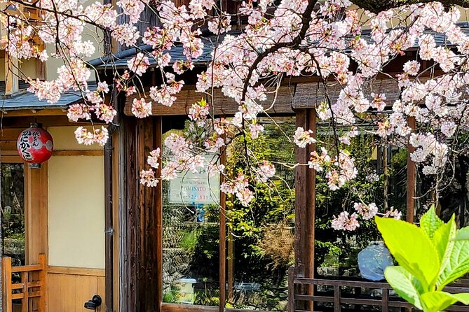 Osaka Departure 1 Day Kyoto Sakura Tour - Inclusions and Exclusions