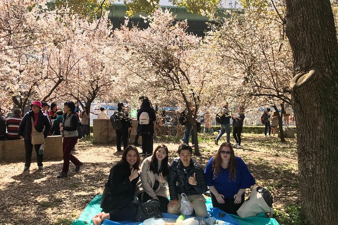 Osaka Cherry Blossom Walk With Local - Inclusions and Accessibility