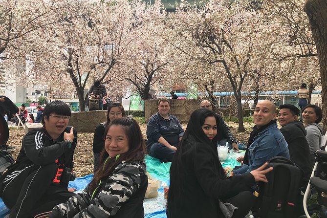 Osaka Cherry Blossom Walk With Local - Group Size and Policies