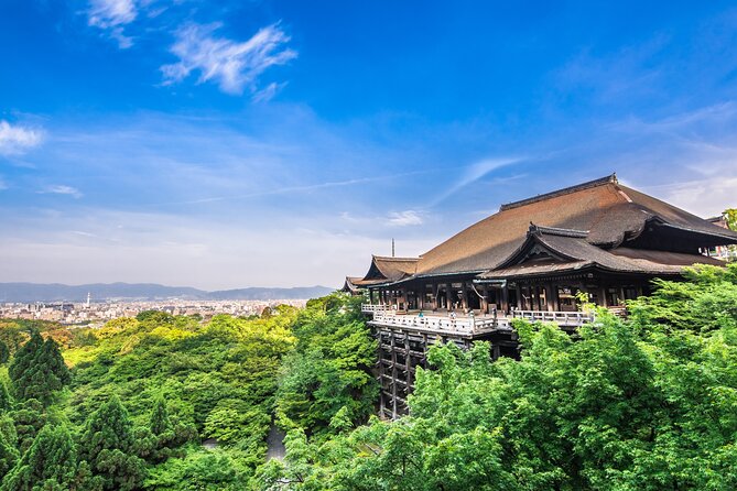 Kyoto 8 Hr Tour From Osaka: English Speaking Driver, No Guide - Key Takeaways