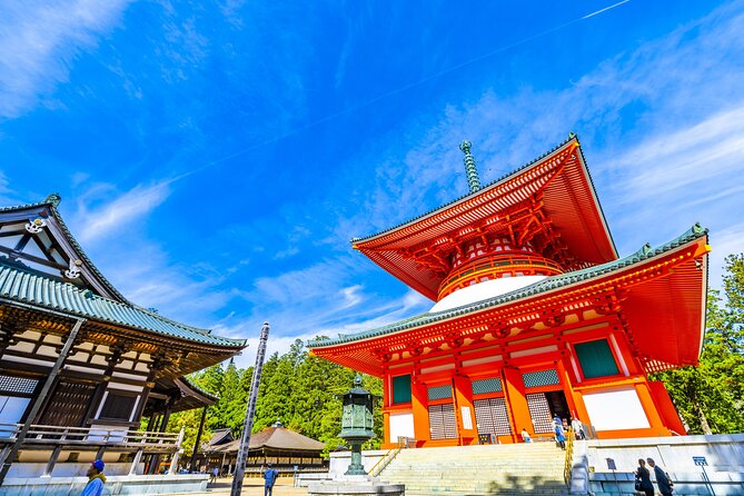 Mt. Koya 8hr Tour From Osaka: English Speaking Driver, No Guide - Conclusion