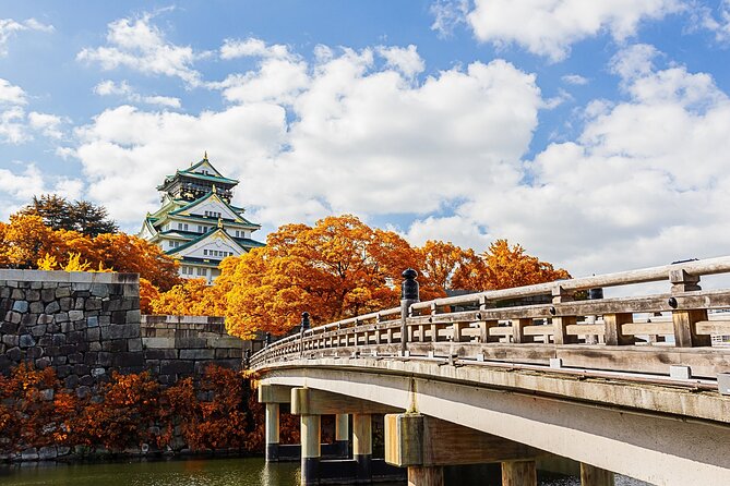 Osaka 6 Hr Private Tour: English Speaking Driver Only, No Guide - Reservation and Payment Options