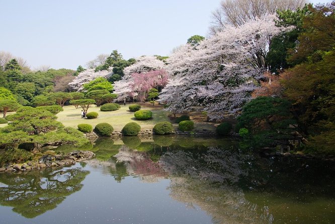 Tokyo Must See Top 10 Hidden Gems In One Day - Key Takeaways