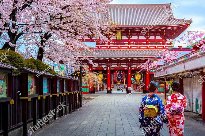 Starter Tour in Tokyo _Visiting Must-See Spots and Practical Guidance - Ensuring a Memorable Experience