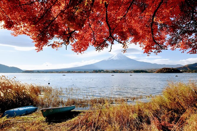 Mt Fuji Day Trip From Tokyo by Car With Photographer Guide - Reviews