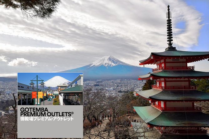 Gotemba Outlet Mall Plus Lake Kawaguchi or Hakone Tour by Chartered Van - Accessibility and Special Services