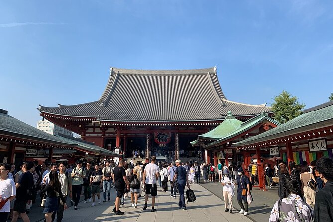 Tokyo : Must-see Attractions Private Walking Tour With A Guide - Accessibility Information