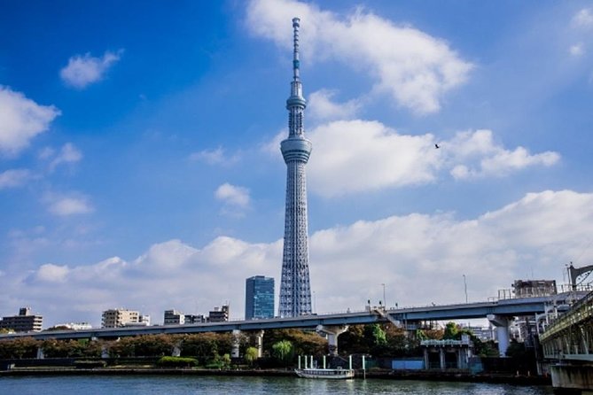 Private Chartered Taxi Tour of Tokyo - Pricing Details