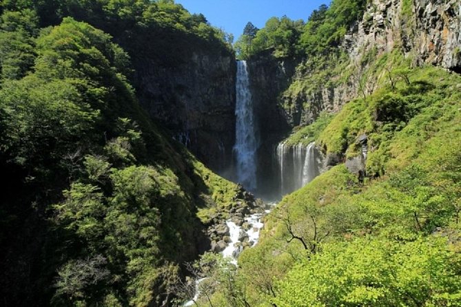 Nikko Private Tour by Public Transportation - Reviews and Recent Feedback