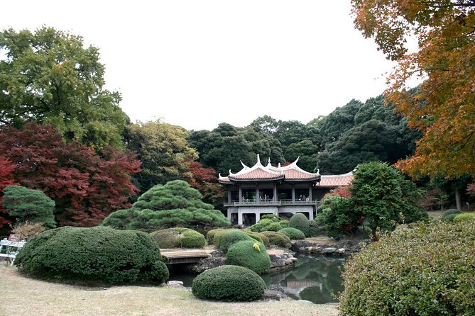 Meiji Jingu Shrine Half-Day Tour by Public Transportation - Shrine Visit Highlights