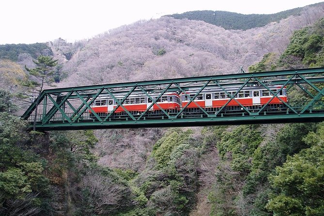 Exciting Hakone - One Day Tour From Tokyo - Itinerary Overview