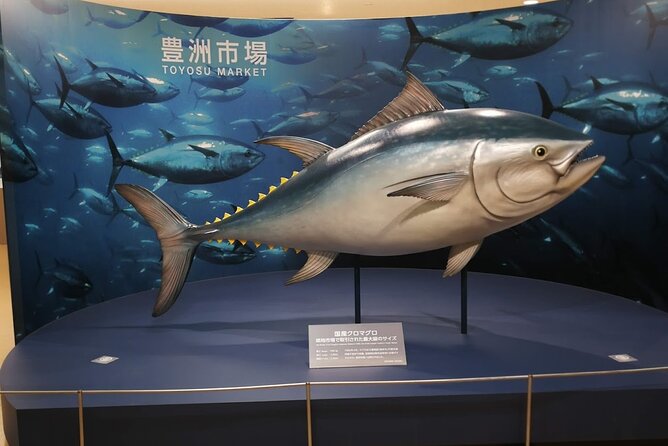 Tuna Auction and Tokyo Toyosu Fish Market Tour - Cancellation Policy and Guidelines