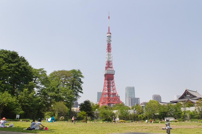 8-Hour Tokyo Tour by Qualified Tour Guide Using Public Transport - Conclusion