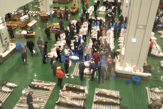 tuna-auction-at-toyosu-market-with-qualified-guide-and-early-morning-tour-of-tsukiji-outer-market-tour-schedule-and-meeting-point