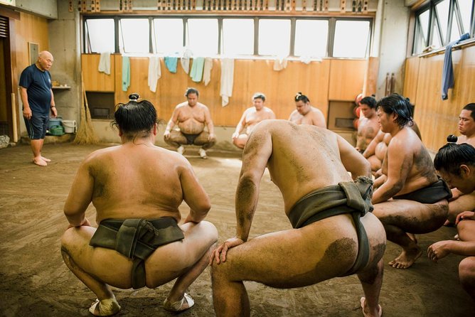 Sumo Training Session - Reviews