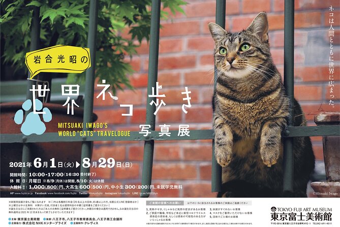 Tokyo Fuji Art Museum Admission Ticket + Special Exhibition (When Being Held) - Frequently Asked Questions