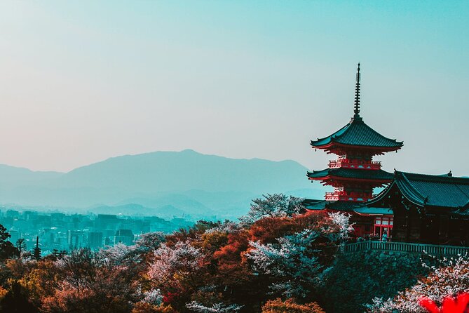 Hakone and Mt. Fuji Day Trip With Private Vehicle - Customizable Itinerary