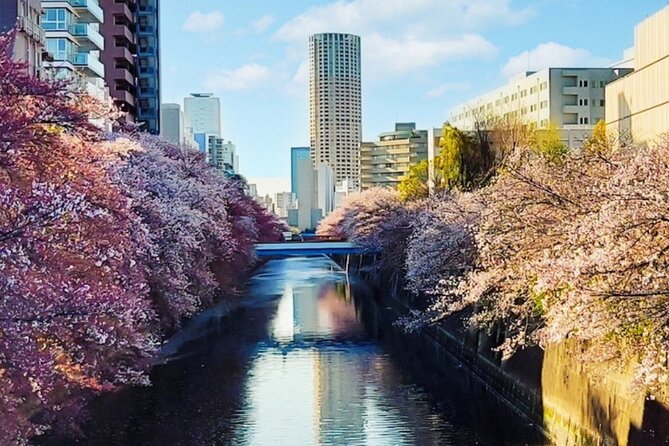 Licensed Guide Tokyo Meguro Cherry Blossom Walking Tour - Key Takeaways