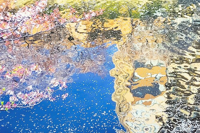 Licensed Guide Tokyo Meguro Cherry Blossom Walking Tour - Tour Details