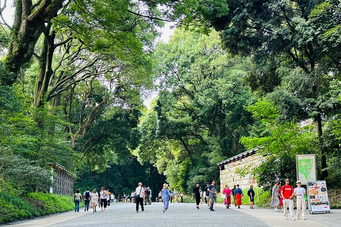 Sacred Morning Walk and Brunch Meiji Shrine - Highlights