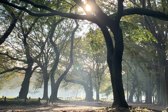 Sacred Morning Walk and Brunch Meiji Shrine - Booking Information