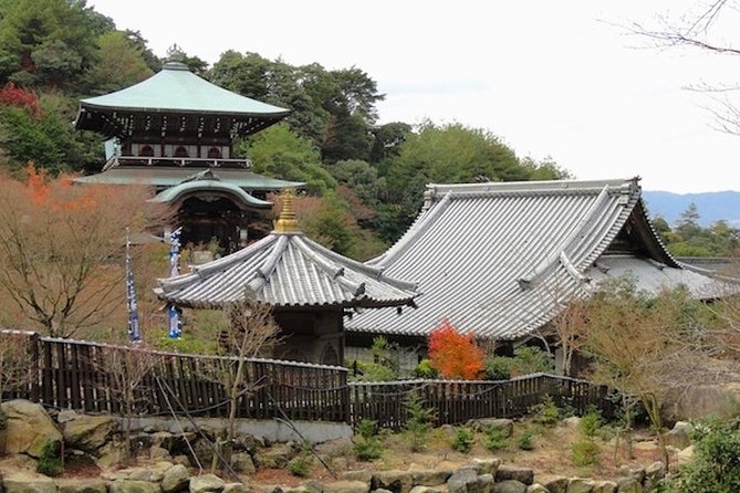 Experience Edo Tokyo Walking Tour - Meeting and Pickup