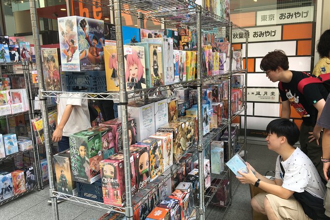 Private Akihabara Anime Guided Walking Tour - Conclusion